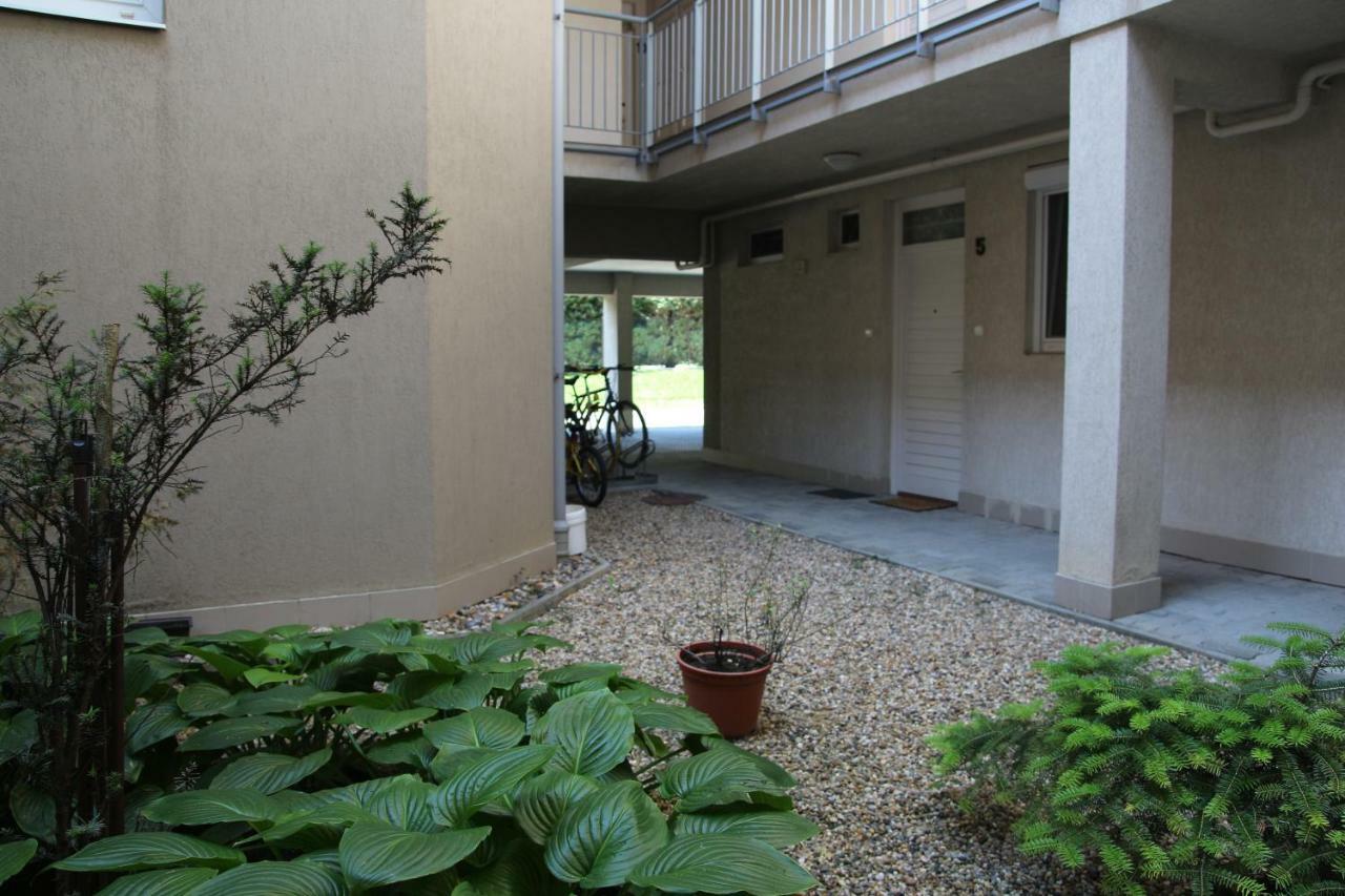 Apartment With Swing Hévíz Екстериор снимка